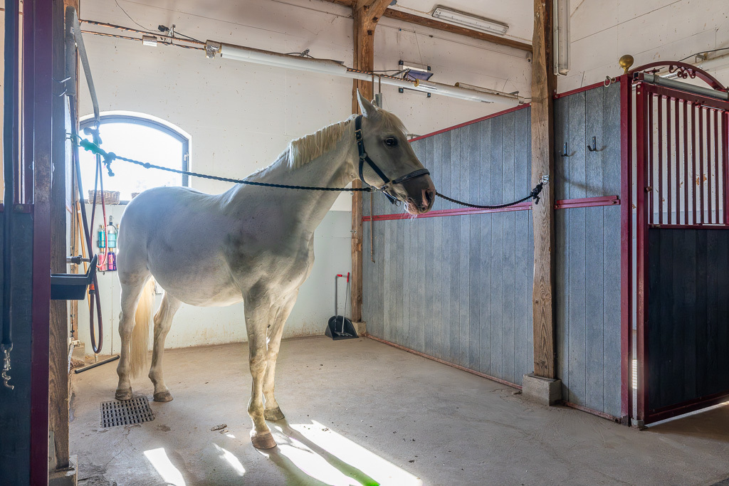 Charmig och komplett hästgård med två bostäder och ypperligt pendlingsläge – photo 70
